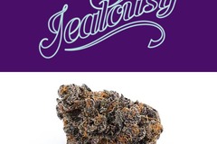 Venta: "JEALOUSY"  SEED JUNKY GENETICS