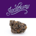 Sell: "JEALOUSY"  SEED JUNKY GENETICS