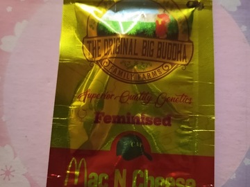 Venta: Mac N Cheese - Original Big Buddha Family Farms