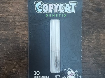 Vente: Copycat Genetix Karma Sour Diesel bx2 f2