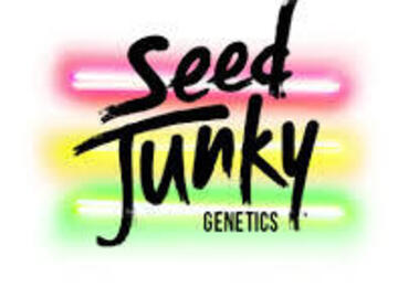 Sell: "WEDDING CAKE  X KUSHMINTS "  SEED JUNKY GENETICS