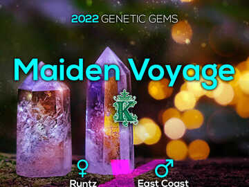 Venta: "MAIDEN VOYAGE "  KEYS TO THE KINGDOM