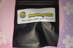 Sell: Mad Dog NS23  - Masonic Seed Co.