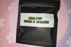 Sell: Lime Pop 88 G13 HP x Wilson  - Masonic Seeds