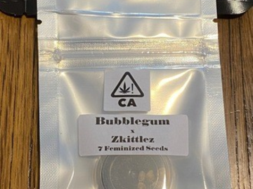 Sell: CSI HUMBOLDT - BUBBLEGUM x ZKITTLEZ