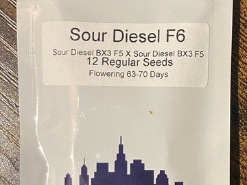 Sell: Sour Diesel F6 from Top Dawg