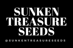 Vente: Kenny Powers from Sunken Treasure