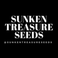 Vente: Safety Meeting from Sunken Treasure