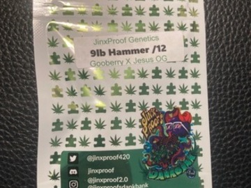 Venta: 9lb Hammer (Gooberry x Jesus OG) - Jinxproof Dankbank