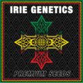 Sell: "ARISE "   IRIE GENETICS