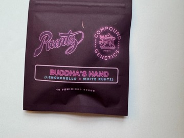 Sell: Buddhas Hand by Runtz & Compound