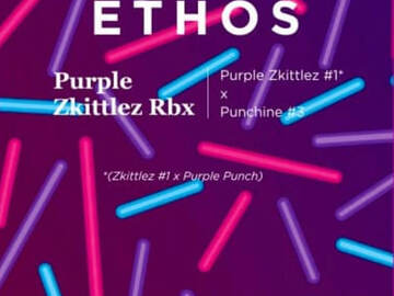 Venta: "PURPLE ZKITTLEZ "  ETHOS GENETICS