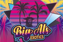 Vente: " GUSHERS  BX" BIG AL'S EXOTIC'S TIKIMADMAN