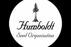 Vente: "BLACK RAINBOW SHERBERT "   HUMBOLDT ORGANIZATION