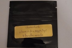 Vente: Bodhi Seeds - Clusterfunk