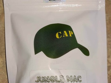 Venta: Capulator- Jungle MAC (10 REG Seeds)