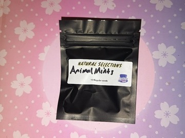 Vente: Animal Mints NS - Masonic Seed Co.