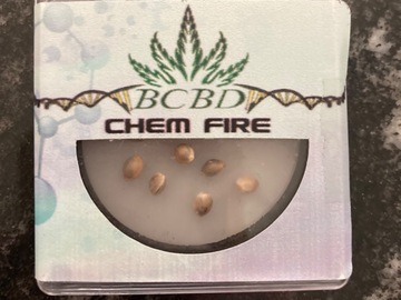 Sell: BC BUD DEPOT CHEM FIRE