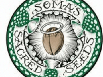 Venta: SOMA’S SACRED SEEDS AMNESIA HAZE