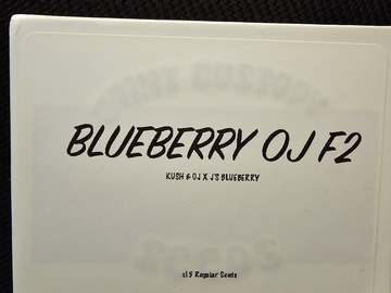 Sell: Joint Custody Seeds Blueberry OJ F2 15 pack