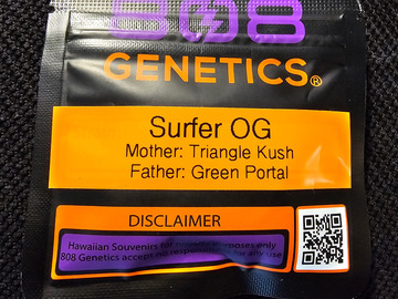 Sell: 808 Genetics Surfer OG 12 pack