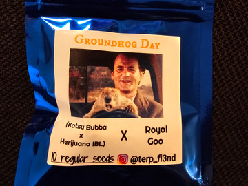 Vente: Terpfiend Groundhog Day 10 pack