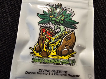 Vente: Rocky Mountain High 719 Divine Suzette 12 pack