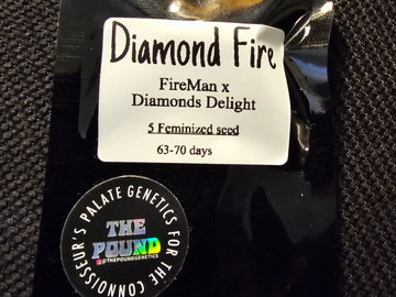 Sell: The Pound Genetics Diamond Fire 5 pack