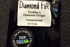 Sell: The Pound Genetics Diamond Fire 5 pack