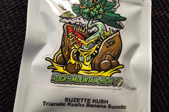 Sell: Rocky Mountain High 719 Suzette Kush 12 pack