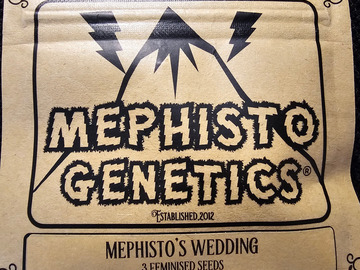 Sell: Mephisto Genetics Mephisto's Wedding 5 pack