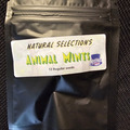 Sell: Masonic Seeds Animal Mints x Natural Selections 12 pack