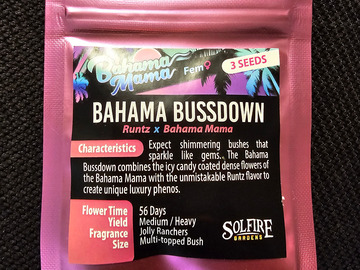 Vente: Solfire Gardens Bahama Bussdown 3 pack