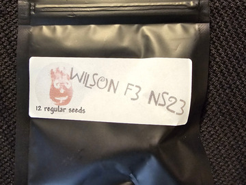 Vente: Masonic Seeds Wilson F3 x Natural Selections 12 pack