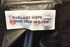 Sell: Masonic Seeds Harambe Hope 12 pack