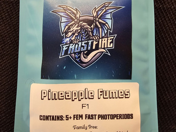 Vente: FrostFire Seeds Pineapple Fumes 5 pack