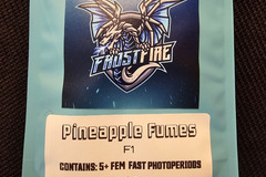 Sell: FrostFire Seeds Pineapple Fumes 5 pack