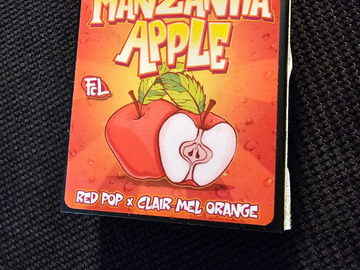 Sell: FatCat Labs Manzanita Apple 12 pack