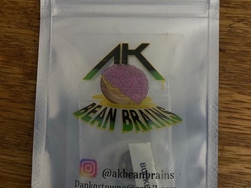 Sell: AK Bean Brains - Bucket List