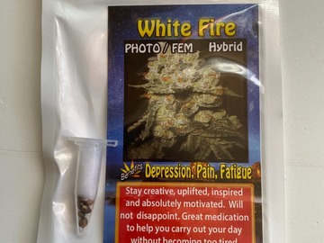 Venta: 6 FEMINIZED WHITE FIRE KUSH