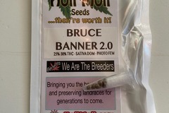 Sell: 6 FEMINIZED BRUCE BANNER 2.0 SEEDS