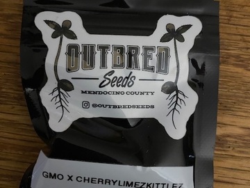 Vente: Outbred Seeds - GMO x CherryLimeZkittlez