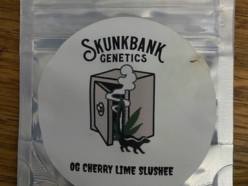 Sell: Skunkbank Genetics - OG Cherry Lime Slushee