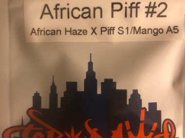 Venta: African Piff #2 - Top Dawg Seeds