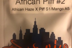 Venta: African Piff #2 - Top Dawg Seeds