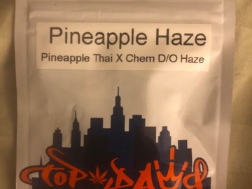 Vente: Pineapple Haze - Top Dawg Seeds