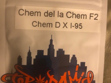 Sell: Chem Del La Chem F2 - Top Dawg Seeds