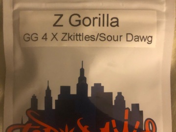 Vente: Z Gorilla - Top Dawg Seeds