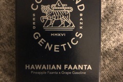 Venta: Hawaiian Faanta - Compound Genetics