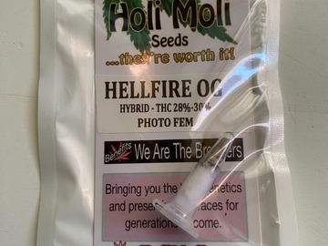 Sell: 6 FEMINIZED HELLFIRE OG SEEDS